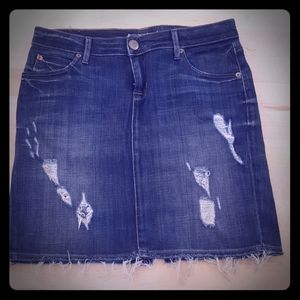 Hudson Jean Skirt